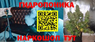 соль ск Сланцы