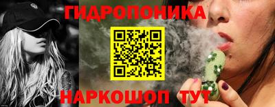 соль ск Сланцы