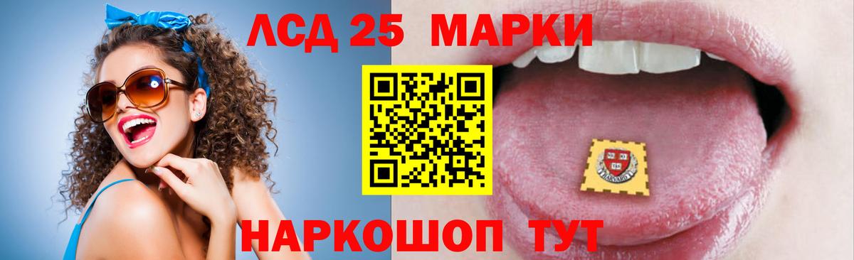 Новозыбков  ЛСД экстази кислота  ЛСД экстази ecstasy  ЛСД экстази  Вход с VPN 