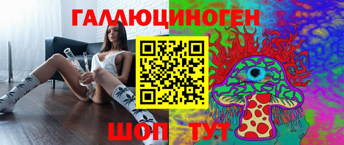 Псилоцибиновые грибы Psilocybe  Вход с VPN  Новозыбков 